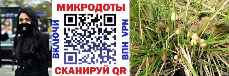 Галлюциногенные грибы Psilocybe где можно купить наркотик Оренбург