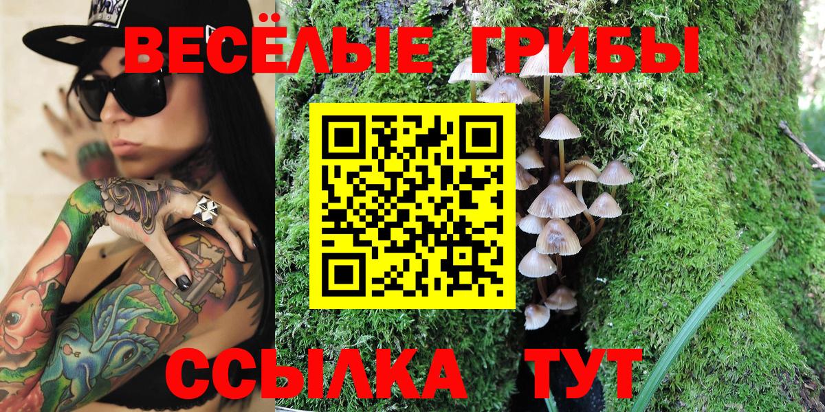 Галлюциногенные грибы мицелий  что такое наркотик  Псилоцибиновые грибы Psilocybe  Оренбург  Вход с VPN 